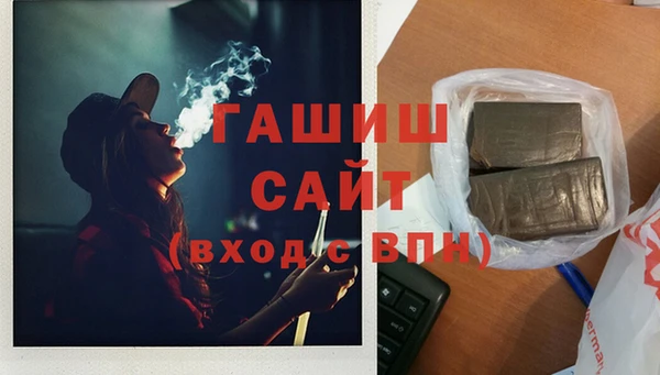 сатива Инта
