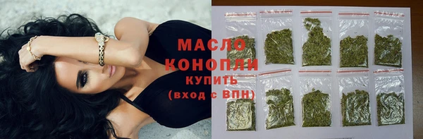 сатива Инта