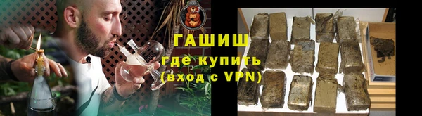 сатива Инта