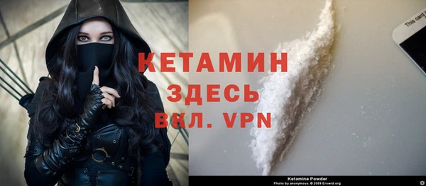 сатива Инта