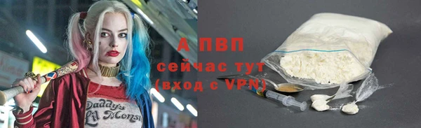 сатива Инта