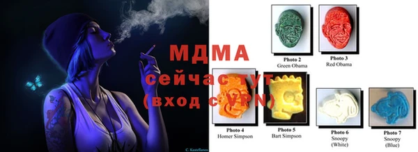 сатива Инта