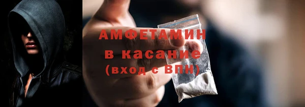 сатива Инта