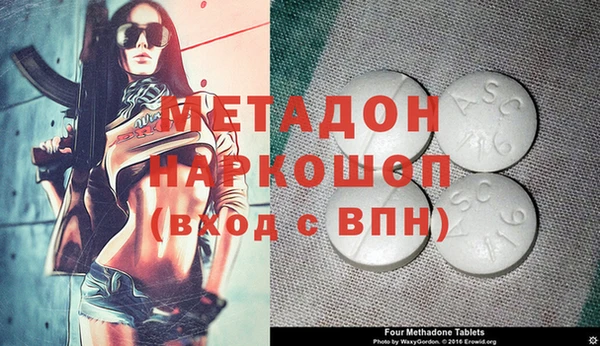 сатива Инта