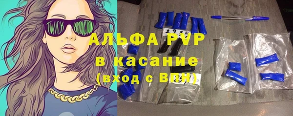 сатива Инта