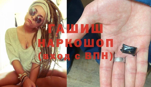 сатива Инта
