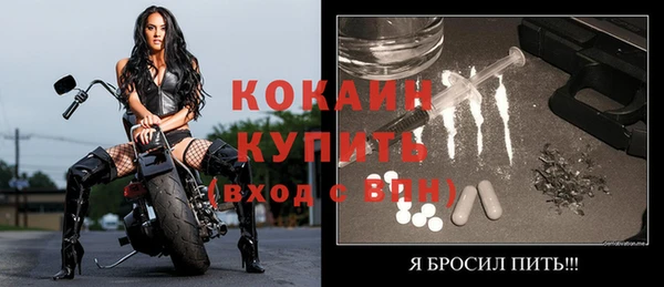 сатива Инта
